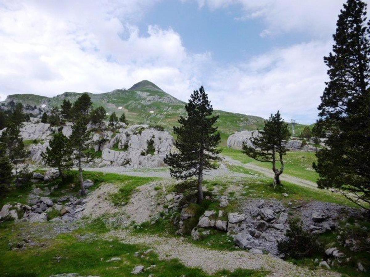 Studio Pour 6 A Arette Avec Acces Pistes, Balcon, Casier A Skis Et Parkings Gratuits - Fr-1-602-20 外观 照片